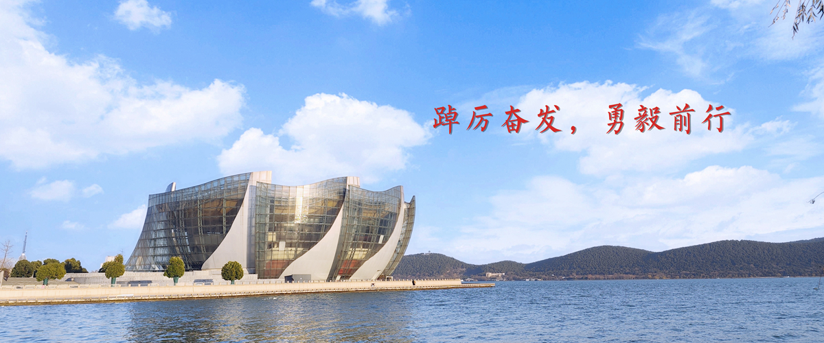 踔厉奋发，勇毅前行